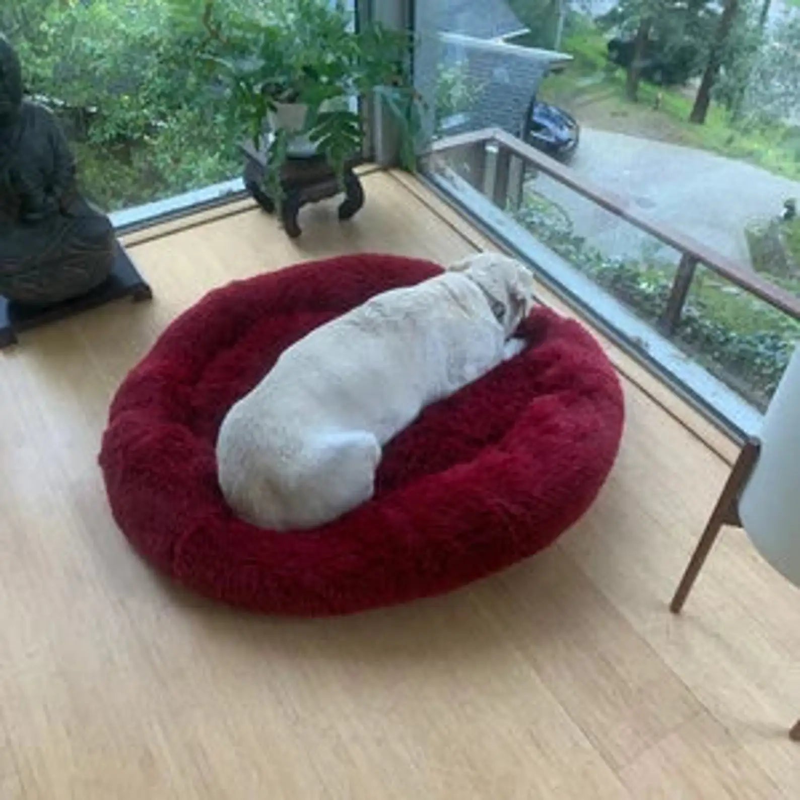 Orthopedic Donut Dog Bed - Calming Anti-Anxiety Pet Sofa Lounger, Washable for Small Large Dogs Cats, Comfortable Memory Mat
